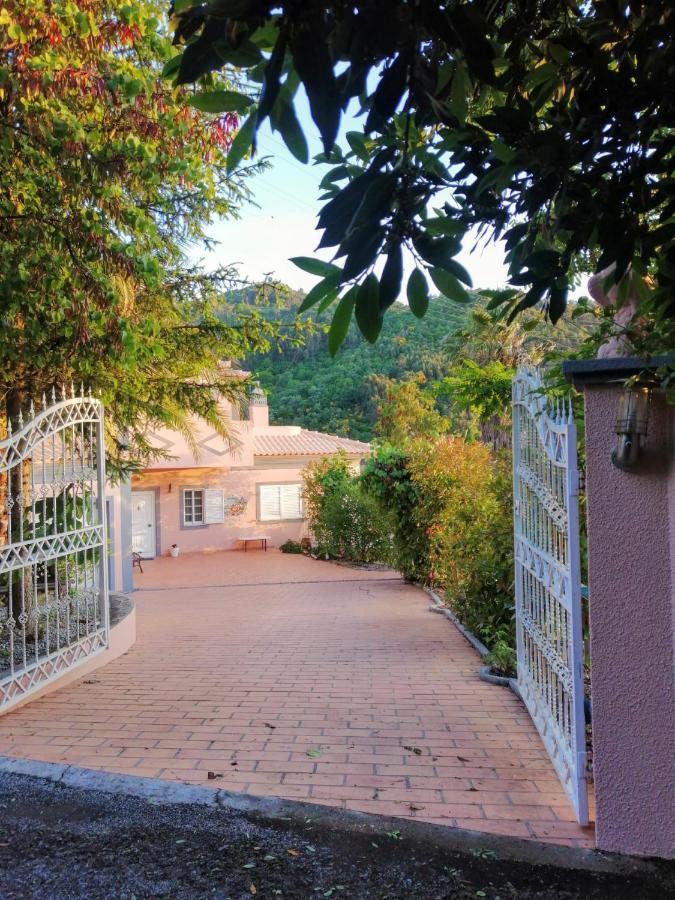 Вилла Casa Loureiro - Vista Rio Douro Резенде Экстерьер фото