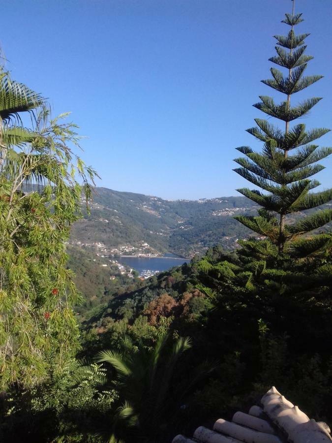 Вилла Casa Loureiro - Vista Rio Douro Резенде Экстерьер фото